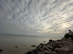 -深圳湾公园(南山区)