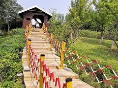 -南海子公园