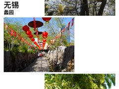 -无锡蠡湖国家湿地公园-蠡园