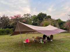 -风云岭森林公园