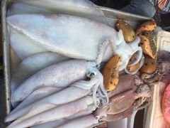 iphone_upload_pic-鸿港海鲜批发市场