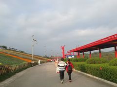 -东部华侨城
