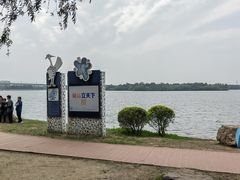 -丁香湖公园