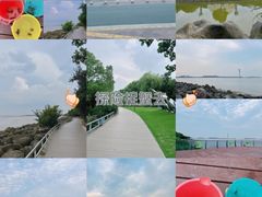 -上海吴淞炮台湾国家湿地公园