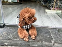 -东关历史文化旅游区-东门遗址