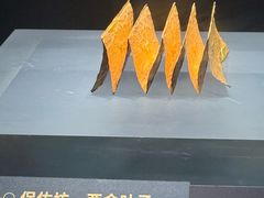 -温州博物馆