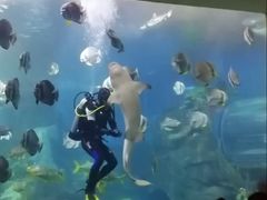 -太平洋海底世界