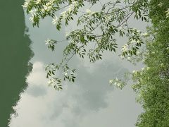 -楠溪江石桅岩