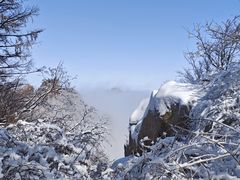 -崂山巨峰游览区