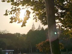 -泰州凤城河风景区-泰山公园