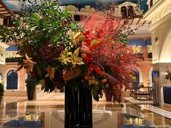 -深圳威尼斯英迪格酒店