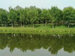 -东郊湿地公园