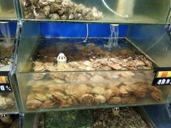 -雅逸居海鲜小厨