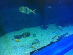 -北国之春国宴(乌兰察布店)