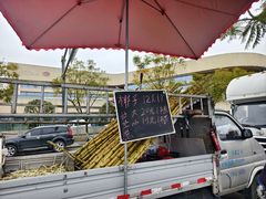 -三圣花乡旅游区