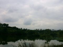 -白鹭湾湿地公园