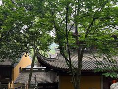 -灵隐飞来峰景区