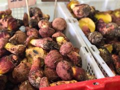 -双喜农庄·菌香园(安居家园店)