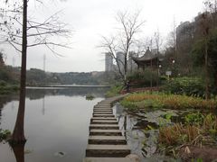 -重庆彩云湖湿地公园