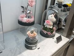 -ROSEONLY诺誓(广州K11店)