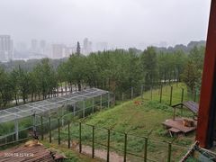 -青藏高原野生动物园