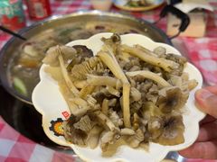 -金鼎雪山牦牛杂火锅(理县总店)