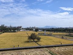 -艾米稻香小镇