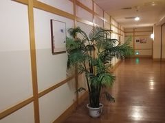 -嘉佑温泉水世界