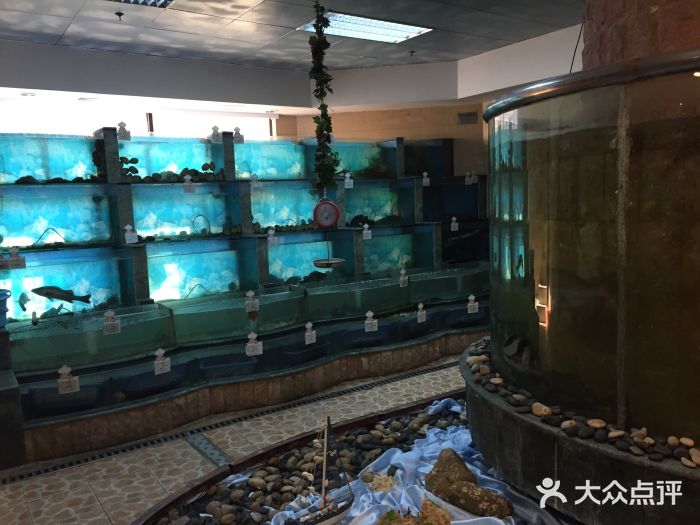 汇泉王朝大饭店-旋转餐厅(南海路店)图片
