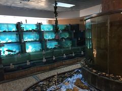 -汇泉王朝大饭店-旋转餐厅(南海路店)