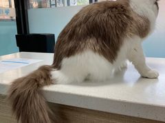 -嘉馨宠物医院·CT影像转诊·心脏科·犬猫全科诊疗中心(下沙大学城院区)