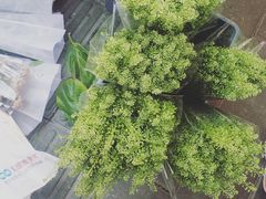 -溪岸路花鸟市场
