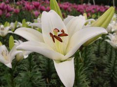 -长春公园(普阳街道)