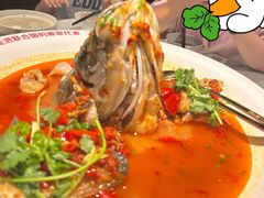 -坛宗剁椒鱼头(河西王府井店)