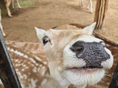 -鄂尔多斯野生动物园