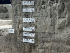 -金沙遗址博物馆