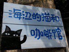 android_upload_pic-海边的猫和咖啡馆
