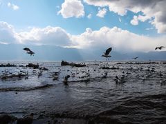 -大理洱海
