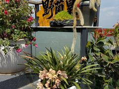 -野菌皇海景野生菌火锅(滨海大道店)