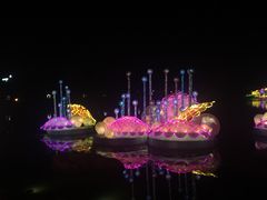 -映月湖公园