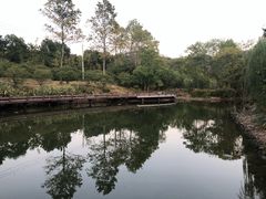 -黄陂区野村谷景区