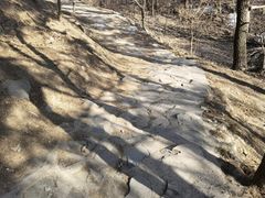 -北京鹫峰国家森林公园