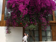 -三圣花乡旅游区