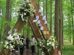 -黄海国家森林公园