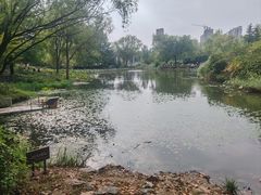 -郑州植物园