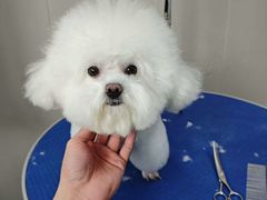 -心仪动物医院·牙专科·肿瘤·心脏科(西客站院)