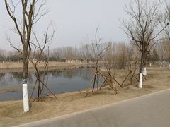 -东郊湿地公园