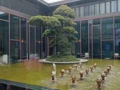 -上海崇明金茂凯悦酒店