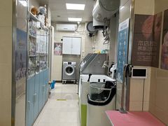 -北京观赏动物医院·24小时大型综合·猫专科·异宠专科