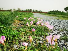 -汉长安城未央宫国家考古遗址公园